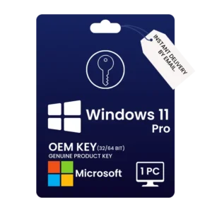 Windows 11 Pro License Key